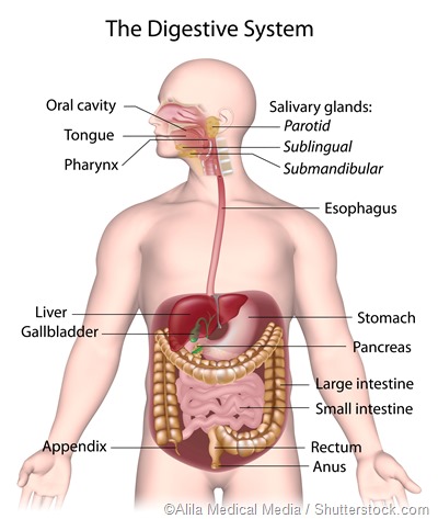 causes-of-upper-and-lower-gastrointestinal-tract-bleeding