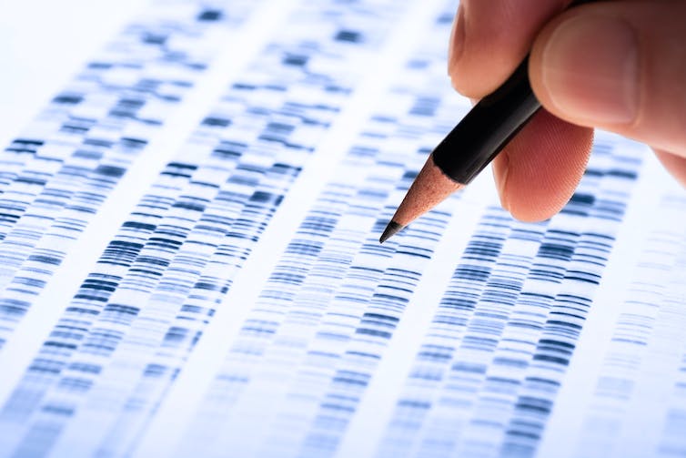 Kids’ Curious: How do our fingerprints and eye colors differ depending on our DNA?