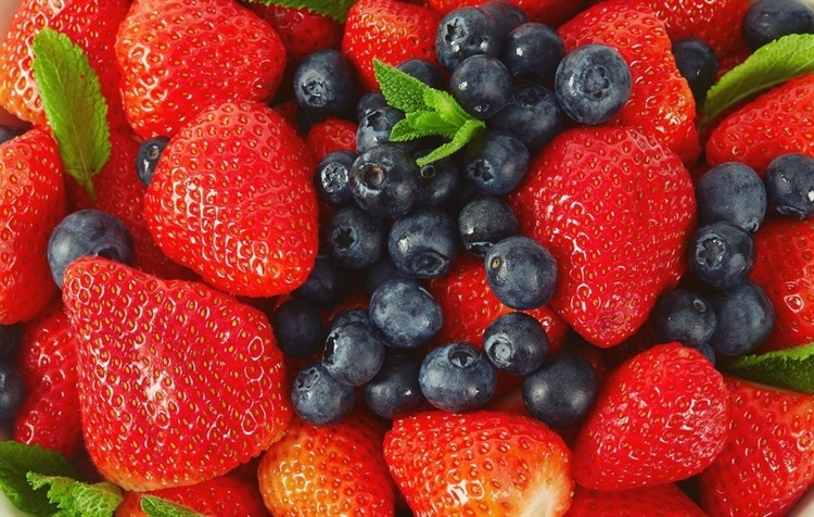 functional-beverages-made-from-strawberry,-blueberry,-and-strawberry-blueberry-blend-decoctions-and-their-impact-on-obesity-related-metabolic-changes