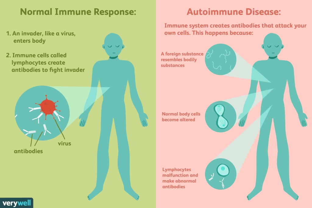 How do autoimmune illnesses result from viral infections?