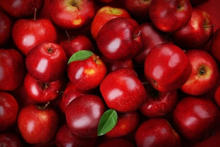 a-daily-apple-helps-prevent-illness:-fecal-microbiota-composition-and-immune-cell-gene-expression-are-changed-by-polyphenol-enriched-apples