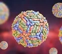 Researchers find broad-spectrum antiviral substances that can attack several RNA virus families