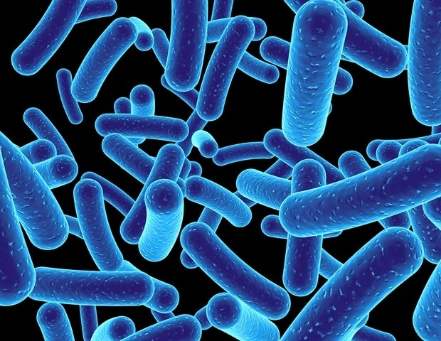 Study reveals that certain bacteria cells experience hunger