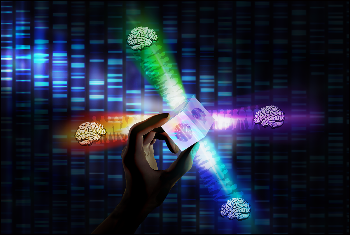 Four distinct kinds of autism are identified through study based on brain activity and behavior